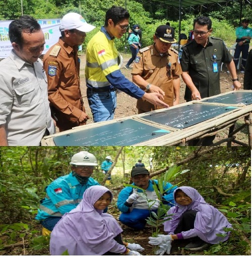 AMMAN Inisiasi Penanaman Pohon Aren, Kolaborasi Bersama Masyarakat Desa Tongo