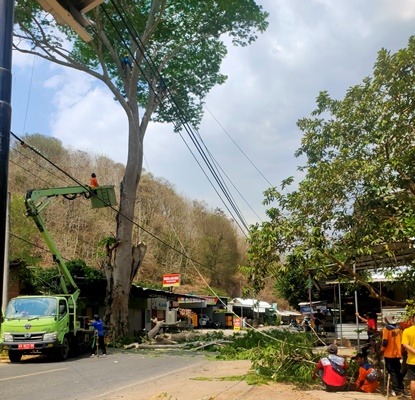 Terancam Tumbang, BPBD KSB Lakukan Penebangan Pohon