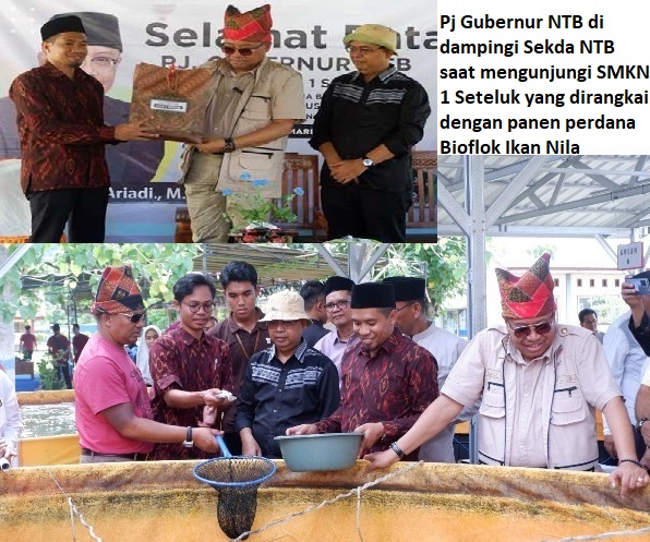 Kunjungi SMKN 1 Seteluk, PJ Gubernur NTB Panen Perdana Bioflok Ikan Nila
